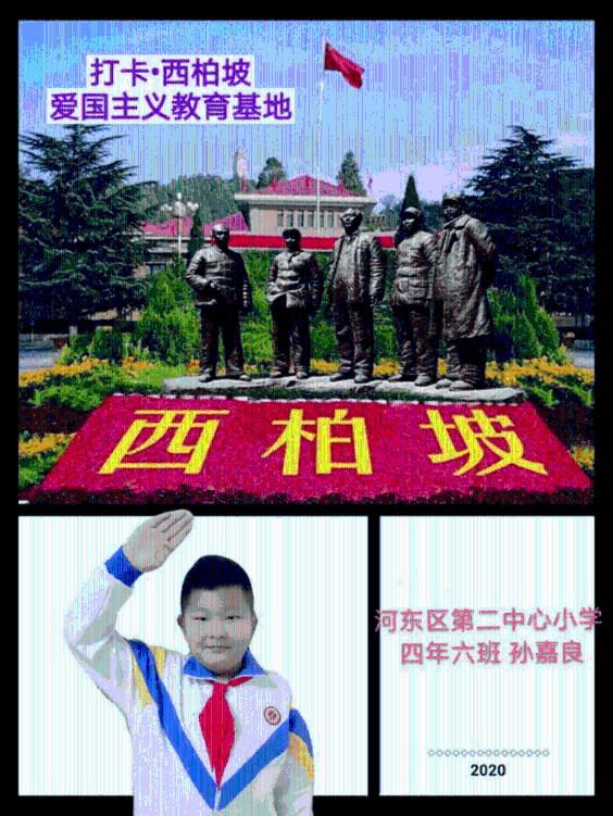 小猫钓鱼游戏龙王版有船